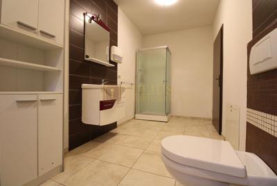 Cetatii; 5 camere, spatiu depozitare, garaj, curte, ideal pentru sediu firma. - 11