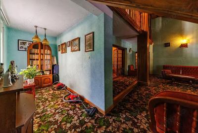 Locul in care ai vrea sa fii acasa Elisabetin Locul in care ai vrea sa fii acasa Elisabetin - 8