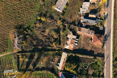 Teren Construcții intravilan de 4000 mp, în Vârteșcoiu - 13