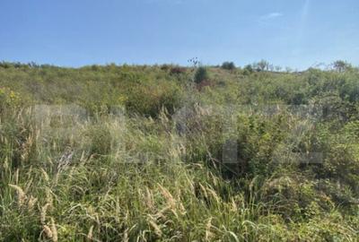 Teren intravilan/extravilan centura Zalau, 8200 mp - 3