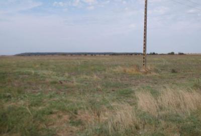 VANZARE TEREN COM BALOTESTI, SAT SAFTICA VANZARE TEREN COM BALOTESTI, SAT SAFTICA - 2