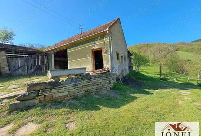 Casa de vanzare cu 46774 mp teren in zona Vintu de Jos Casa de vanzare cu 46774 mp teren in zona Vintu de Jos - 6