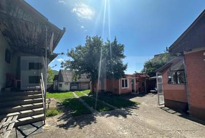 Casa saseasca de vanzare, curte, gradina, teren 3000 mp - Ji - 18