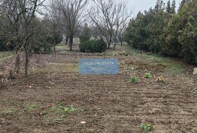 Teren 2.600 mp, utilități, Str. Merișor – Giurgiu - 4