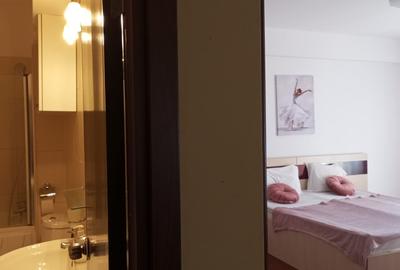 Apartament deosebit,spatios, mobilat, utilat, Bulevardul Pipera nr.131 - 6