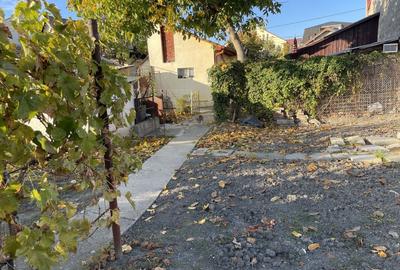 Teren ideal pentru constructie noua-800 mp cu front 22 ml - 6