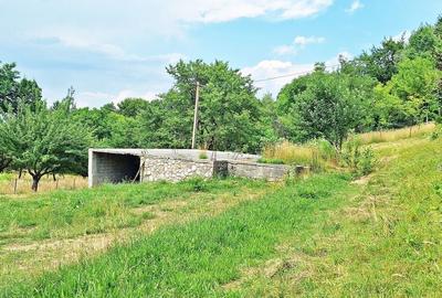 Bran- Predelut, 1000mp teren pentru casa de vacanta, pret 45 euro/mp - 4