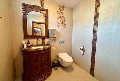 Vila  de inchiriat 11 camere  D+P+2 Timpuri noi 12 locuri de parcare 500 mp util - 15