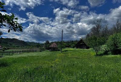 Casă cu 2 camere în Balșa - 1