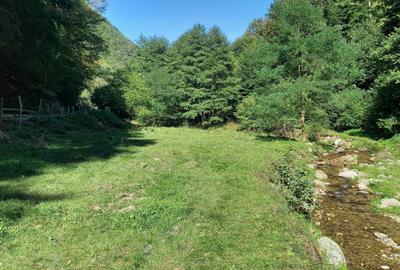 Spațiu comercial, în Central - 2