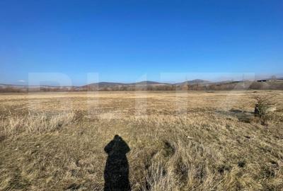 Teren de 5000 mp, în Bărăbanț - 3