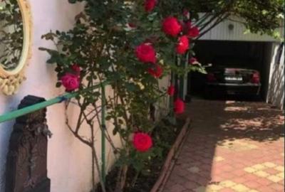 Proprietar inchiriez casa, singur in curte, avand curte si garaj in Piata Muncii - 3