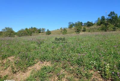 Spațiu comercial, în Luncoiu de Sus - 8