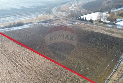 Teren pentru cabana 7.000mp in Hoghilag, Taramul Tubero... - 5