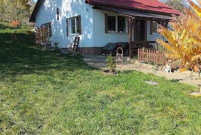Casă cu 3 camere cu Teren 4434 Mp în Geaca - 2