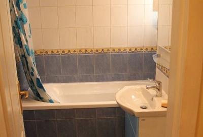 Apartament 3 camere, Tineretului Trestiana - Mega Image - 5