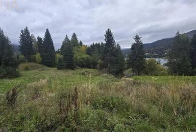 Teren de 4149 mp, în Colibița - 3