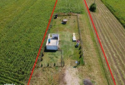 Teren de 3700 mp, în Sântimbru - 1