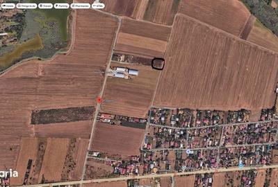 Teren de 608 mp, în Frumușani - 5