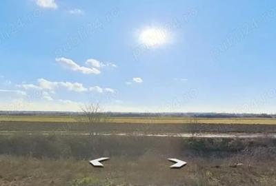 Teren de 27500 mp, în Giroc - 3