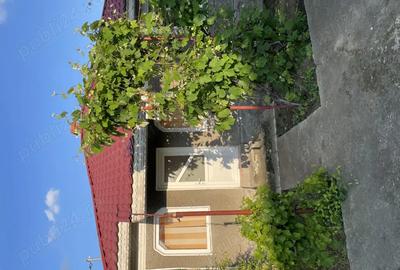 Casa plis teren de 1300mp , De Vanzare Tandarei , Il