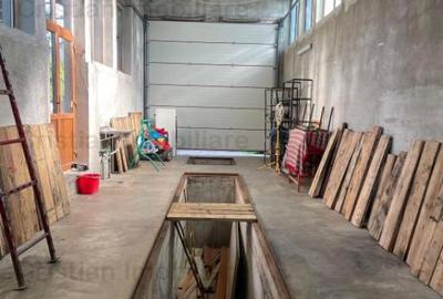 Hala 60 mp, PRETABILA ORICE TIP DE ACTIVITATE, zona Piata Sa - 5