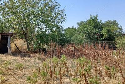 Casă cu 4 camere în Peretu - 2