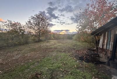 AFACERE LA CHEIE -  SERVICE AUTO - 12