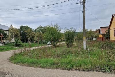 Casă cu Teren 873 Mp în Brestovăț - 4