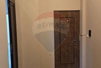 Casă individuală cu 15 camere cu Teren 520 Mp în Mitropolie - 18