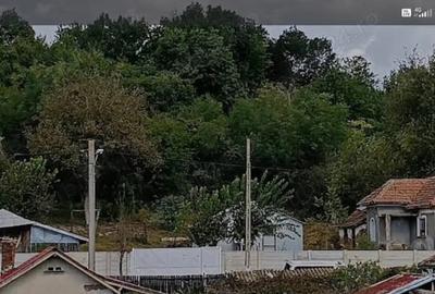 Teren de 4650 mp, în Vârvor - 8