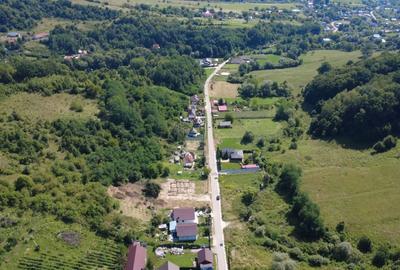 Teren Construcții de 9371 mp, în Podiș - 6