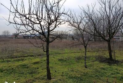 Teren de 4625 mp, în Frecăței - 3