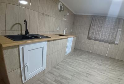 Casa in Mitocul Dragomirnei - 1