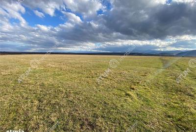 Spațiu comercial, în Cristian - 13