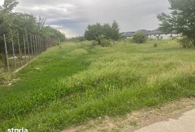 Teren de 5000 mp, în Corbeanca