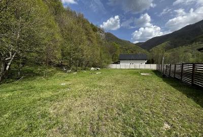 Teren de 919 mp, în Clopotiva - 1