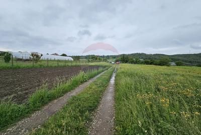 Teren Construcții intravilan de 1495 mp, în Dobreni - 20