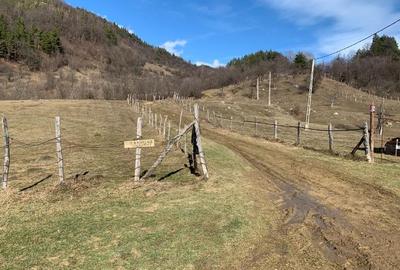 Teren Nehoiu, pentru cabană offgrid sau glamping