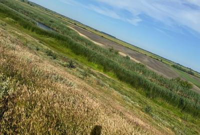 TEREN INTRAVILAN | DUNAVATU DE JOS | DESCHIDERE LA APA - 2