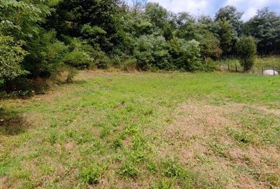 Teren de 2100 mp, în Drăganu - 3