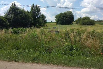 Teren de 3600 mp, în Grămești - 2