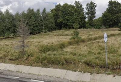 Teren de 6000 mp, în Exterior Vest - 4