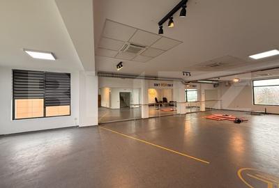 Birou, de 334 mp, în Calea Severinului - 4