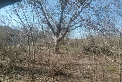 Casă cu 3 camere în Ilfoveni - 2