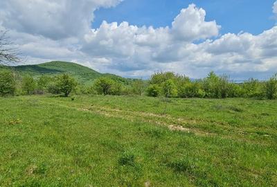 Teren 1500 mp pe str Paltinului, Valea Ghinzii , extravilan Bistrita - 3