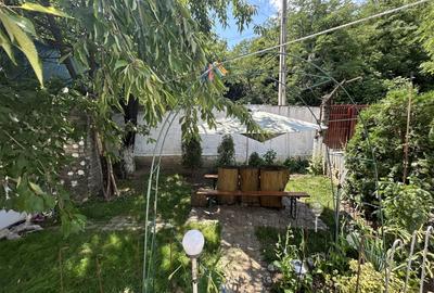 VAND O VILA IN PADUREA DIN FILIPESTI - 2