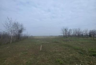 Teren în Rovine - 3