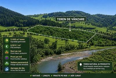 Teren de 5000 mp, în Chiojdu - 1