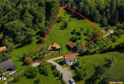 Casă cu 2 camere decomandat cu Teren 4300 Mp în Bran - 11